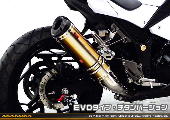Ninja250【JBK-EX250L】／Z250【JBK-ER250C】用 TTRタイプマフラー EVOタイプ チタンバージョン