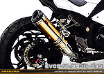 Ninja250【JBK-EX250L】／Z250【JBK-ER250C】用 TTRタイプマフラー EVOタイプ チタンバージョン