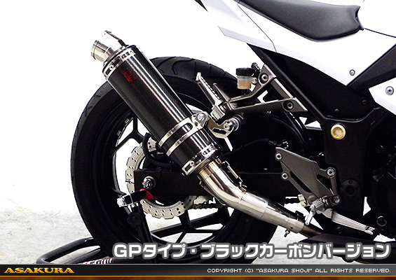 Ninja250【JBK-EX250L】／Z250【JBK-ER250C】用 TTRタイプマフラー GPタイプ ブラックカーボンバージョン