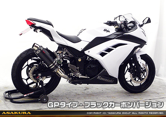 Ninja250【JBK-EX250L】／Z250【JBK-ER250C】用 TTRタイプマフラー GPタイプ ブラックカーボンバージョン