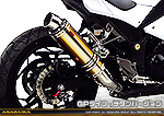 Ninja250【JBK-EX250L】／Z250【JBK-ER250C】用 TTRタイプマフラー GPタイプ チタンバージョン