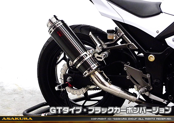 Ninja250【JBK-EX250L】／Z250【JBK-ER250C】用 TTRタイプマフラー GTタイプ ブラックカーボンバージョン