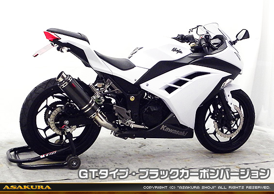 Ninja250【JBK-EX250L】／Z250【JBK-ER250C】用 TTRタイプマフラー GTタイプ ブラックカーボンバージョン