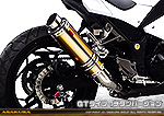Ninja250【JBK-EX250L】／Z250【JBK-ER250C】用 TTRタイプマフラー GTタイプ チタンバージョン