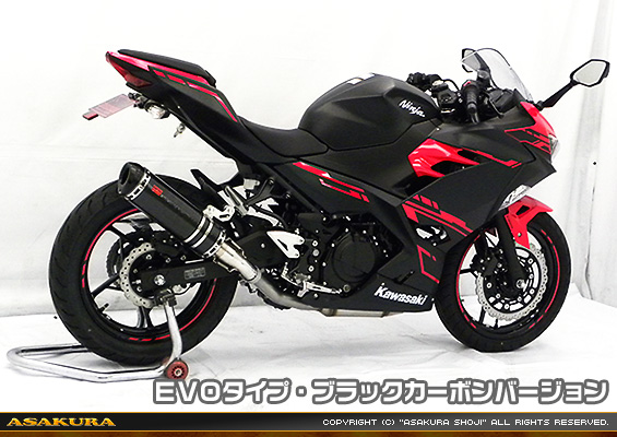 Ninja250【2BK-EX250P】用 TTRタイプマフラー EVOタイプ ブラックカーボンバージョン