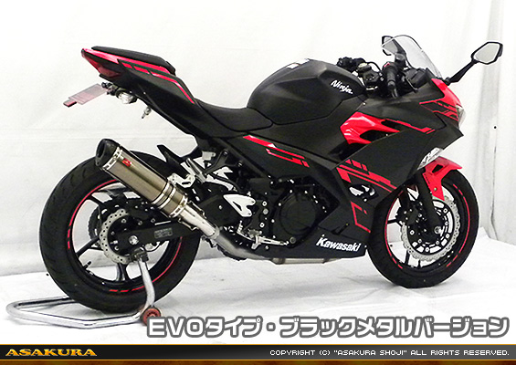 Ninja250【2BK-EX250P】用 TTRタイプマフラー EVOタイプ ブラックメタルバージョン