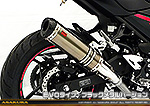 Ninja250【2BK-EX250P】用 TTRタイプマフラー EVOタイプ ブラックメタルバージョン