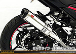 Ninja250【2BK-EX250P】用 TTRタイプマフラー EVOタイプ メタルバージョン