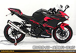 Ninja250【2BK-EX250P】用 TTRタイプマフラー EVOタイプ メタルバージョン