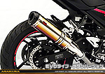 Ninja250【2BK-EX250P】用 TTRタイプマフラー EVOタイプ チタンバージョン