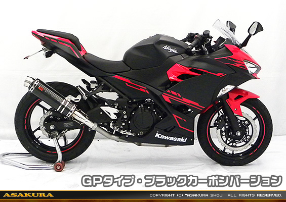 Ninja250【2BK-EX250P】用 TTRタイプマフラー GPタイプ ブラックカーボンバージョン