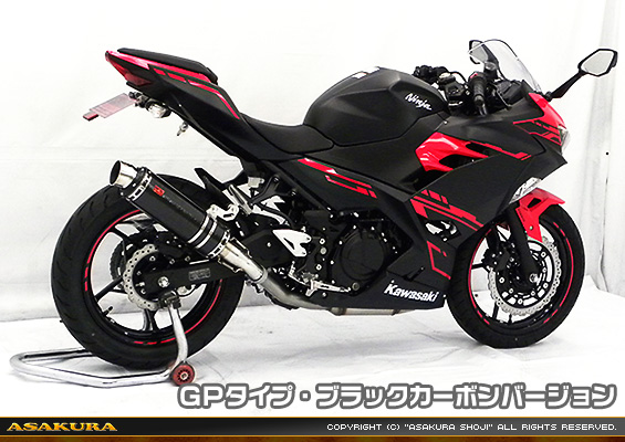 Ninja250【2BK-EX250P】用 TTRタイプマフラー GPタイプ ブラックカーボンバージョン