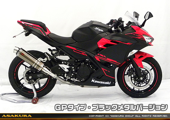 Ninja250【2BK-EX250P】用 TTRタイプマフラー GPタイプ ブラックメタルバージョン