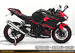 Ninja250【2BK-EX250P】用 TTRタイプマフラー GPタイプ メタルバージョン
