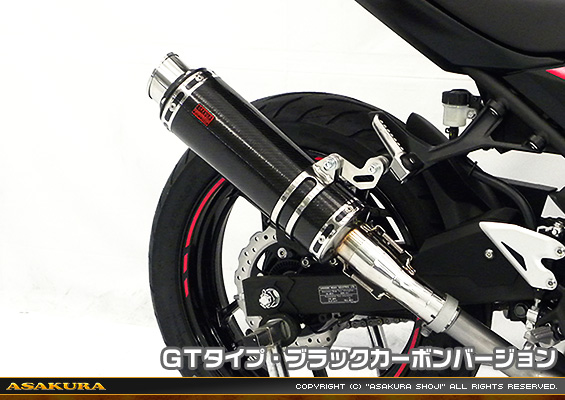 Ninja250【2BK-EX250P】用 TTRタイプマフラー GTタイプ ブラックカーボンバージョン