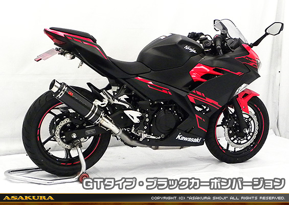 Ninja250【2BK-EX250P】用 TTRタイプマフラー GTタイプ ブラックカーボンバージョン