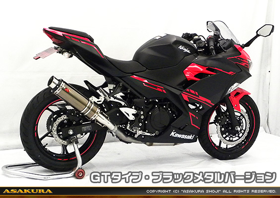 Ninja250【2BK-EX250P】用 TTRタイプマフラー GTタイプ ブラックメタルバージョン