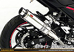 Ninja250【2BK-EX250P】用 TTRタイプマフラー GTタイプ メタルバージョン