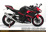 Ninja250【2BK-EX250P】用 TTRタイプマフラー GTタイプ メタルバージョン