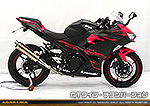 Ninja250【2BK-EX250P】用 TTRタイプマフラー GTタイプ チタンバージョン