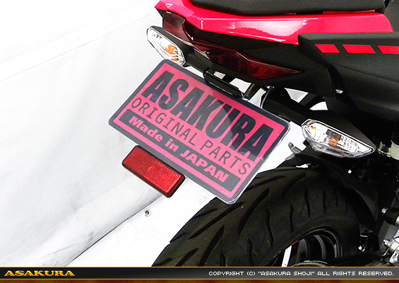 Ninja250【2BK-EX250P】用 メタルフェンダーレスKit