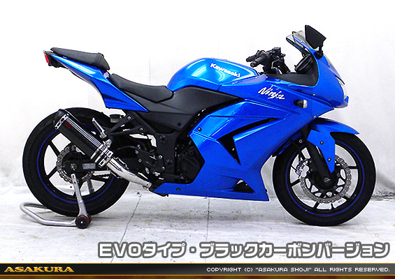 Ninja250R【JBK-EX250K】用 TTRタイプマフラー EVOタイプ ブラックカーボンバージョン