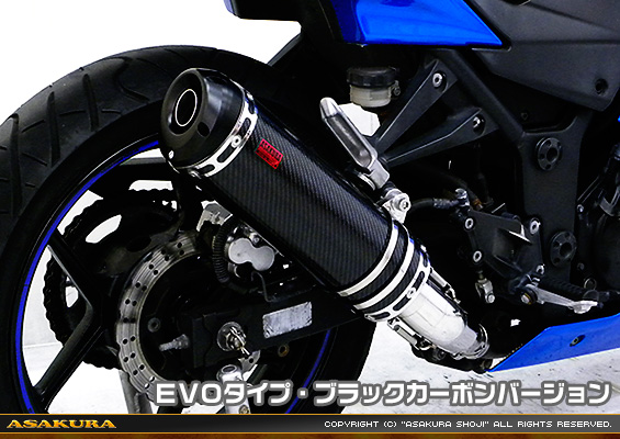Ninja250R【JBK-EX250K】用 TTRタイプマフラー EVOタイプ ブラックカーボンバージョン