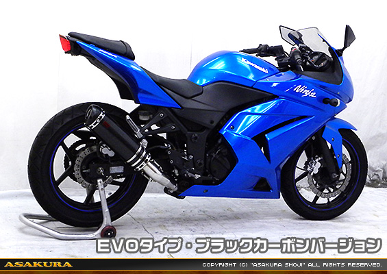 Ninja250R【JBK-EX250K】用 TTRタイプマフラー EVOタイプ ブラックカーボンバージョン