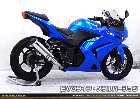 Ninja250R【JBK-EX250K】用 TTRタイプマフラー EVOタイプ メタルバージョン