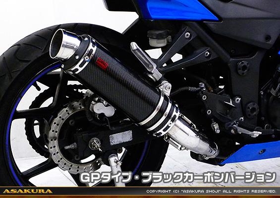 Ninja250R【JBK-EX250K】用 TTRタイプマフラー GPタイプ ブラックカーボンバージョン