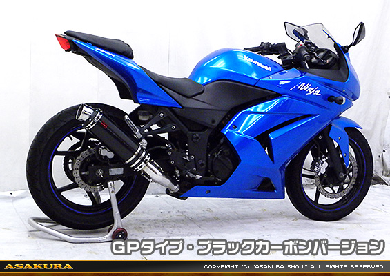 Ninja250R【JBK-EX250K】用 TTRタイプマフラー GPタイプ ブラックカーボンバージョン