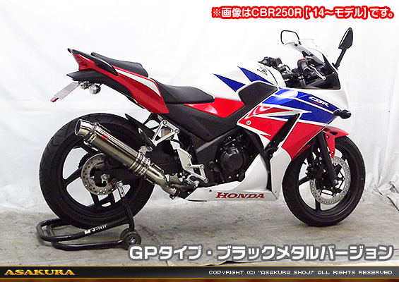 Ninja250R【JBK-EX250K】用 TTRタイプマフラー GPタイプ ブラックメタルバージョン