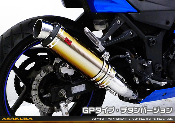 Ninja250R【JBK-EX250K】用 TTRタイプマフラー GPタイプ チタンバージョン