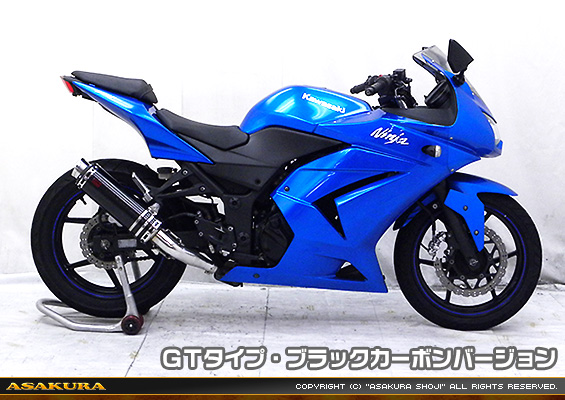 Ninja250R【JBK-EX250K】用 TTRタイプマフラー GTタイプ ブラックカーボンバージョン