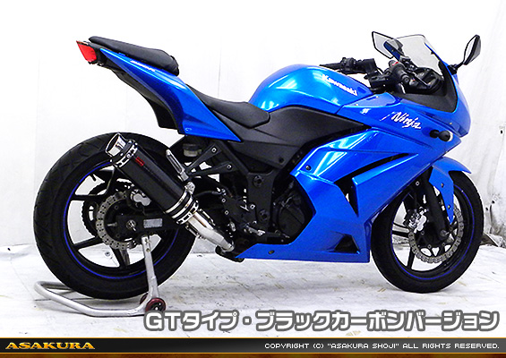 Ninja250R【JBK-EX250K】用 TTRタイプマフラー GTタイプ ブラックカーボンバージョン
