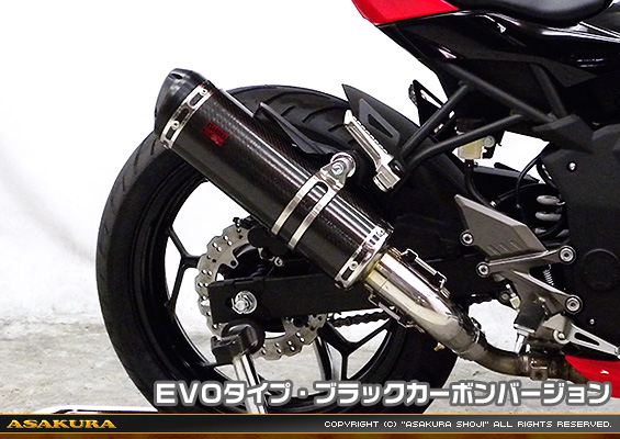 Ninja250SL【JBK-BX250A】用 TTRタイプマフラー EVOタイプ ブラックカーボンバージョン