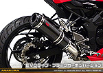 Ninja250SL【JBK-BX250A】用 TTRタイプマフラー EVOタイプ ブラックカーボンバージョン