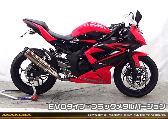 Ninja250SL【JBK-BX250A】用 TTRタイプマフラー EVOタイプ ブラックメタルバージョン