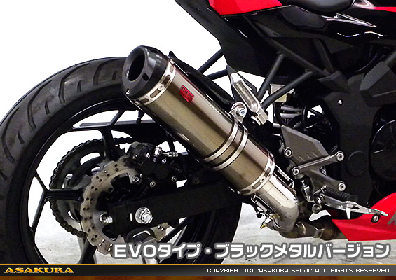 Ninja250SL【JBK-BX250A】用 TTRタイプマフラー EVOタイプ ブラックメタルバージョン