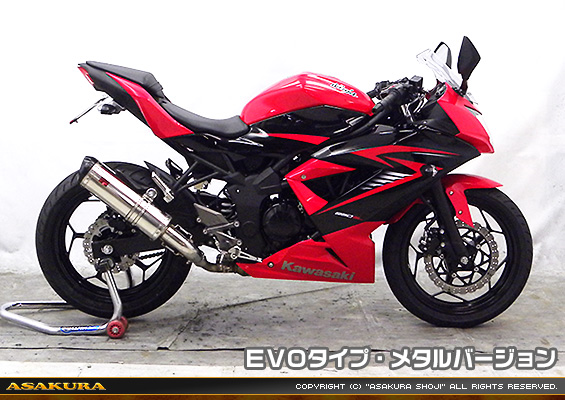 Ninja250SL【JBK-BX250A】用 TTRタイプマフラー EVOタイプ メタルバージョン