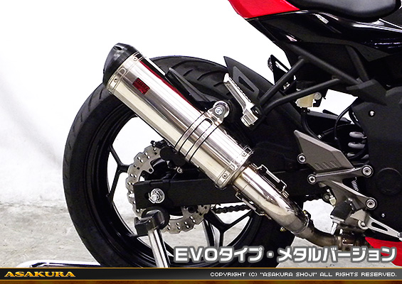 Ninja250SL【JBK-BX250A】用 TTRタイプマフラー EVOタイプ メタルバージョン