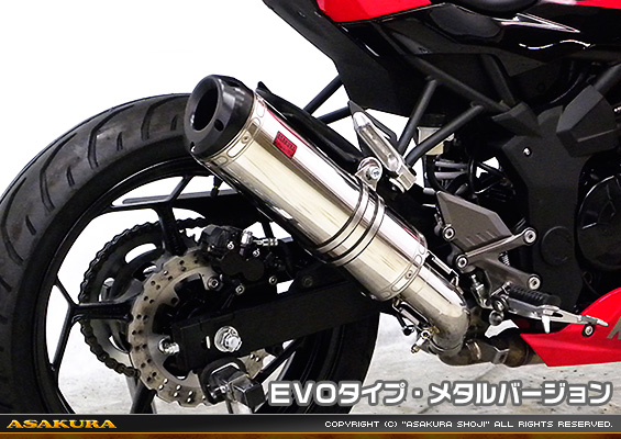 Ninja250SL【JBK-BX250A】用 TTRタイプマフラー EVOタイプ メタルバージョン