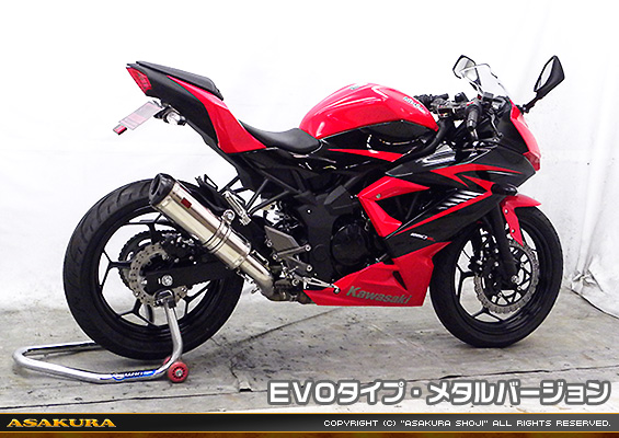 Ninja250SL【JBK-BX250A】用 TTRタイプマフラー EVOタイプ メタルバージョン