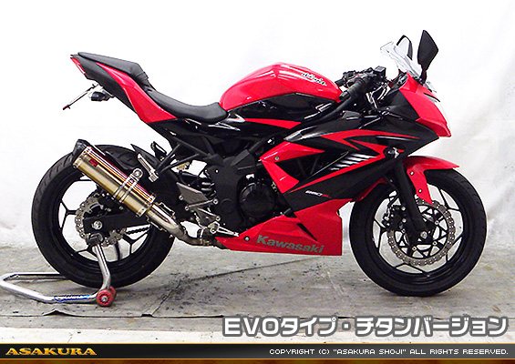Ninja250SL【JBK-BX250A】用 TTRタイプマフラー EVOタイプ チタンバージョン