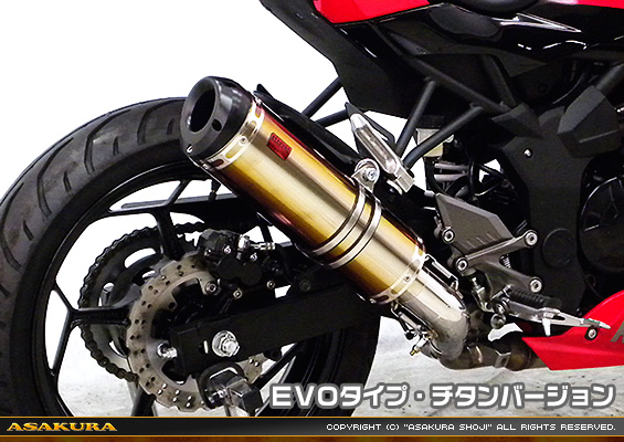 Ninja250SL【JBK-BX250A】用 TTRタイプマフラー EVOタイプ チタンバージョン