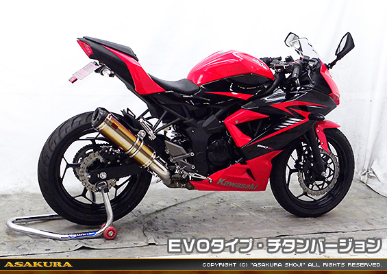 Ninja250SL【JBK-BX250A】用 TTRタイプマフラー EVOタイプ チタンバージョン