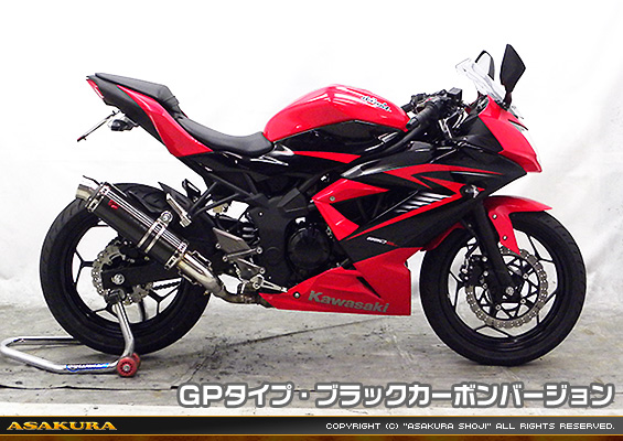Ninja250SL【JBK-BX250A】用 TTRタイプマフラー GPタイプ ブラックカーボンバージョン