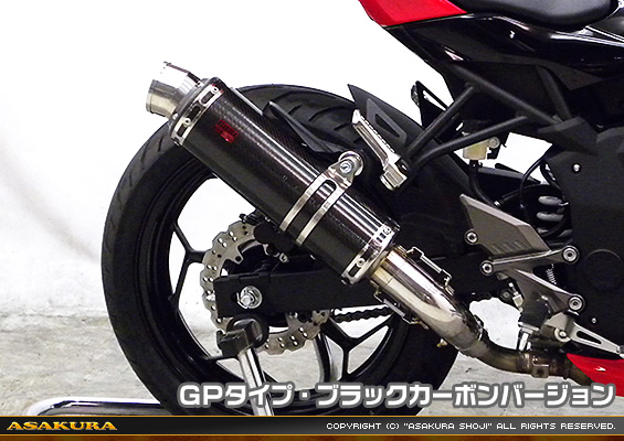 Ninja250SL【JBK-BX250A】用 TTRタイプマフラー GPタイプ ブラックカーボンバージョン