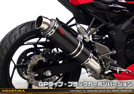 Ninja250SL【JBK-BX250A】用 TTRタイプマフラー GPタイプ ブラックカーボンバージョン