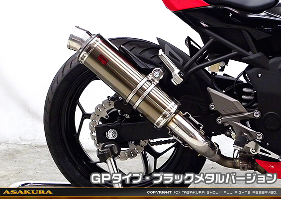 Ninja250SL【JBK-BX250A】用 TTRタイプマフラー GPタイプ ブラックメタルバージョン